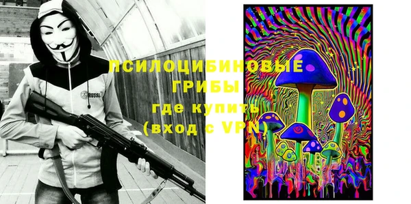 спайс Медвежьегорск
