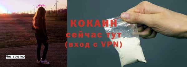 трава Анжеро-Судженск