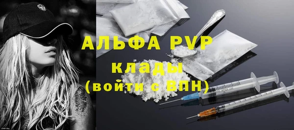 стаф Иннополис