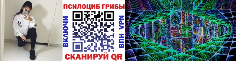 Галлюциногенные грибы Psilocybe  Яблоновский 